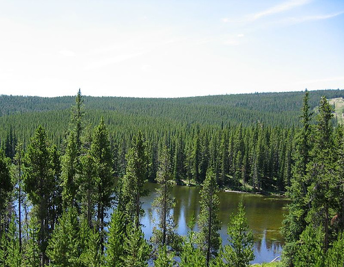 Overhead view of alpine lake, Medicine Bow National Forest, Wyoming