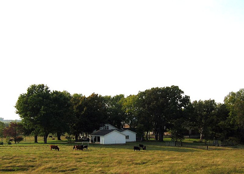 Farm scene, Hopkins County, Kentucky