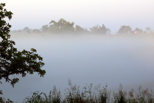 misty morning