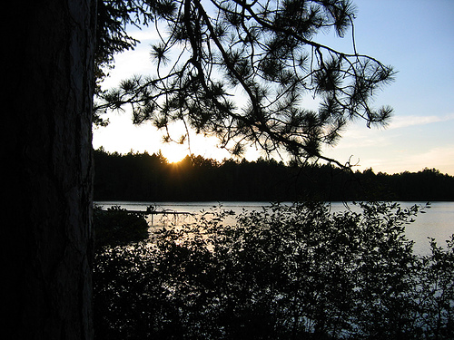 View from a water's edge