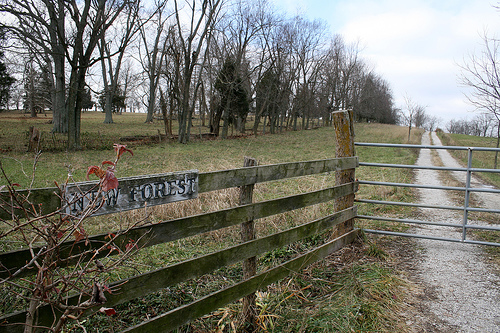 New Forest, private preserve