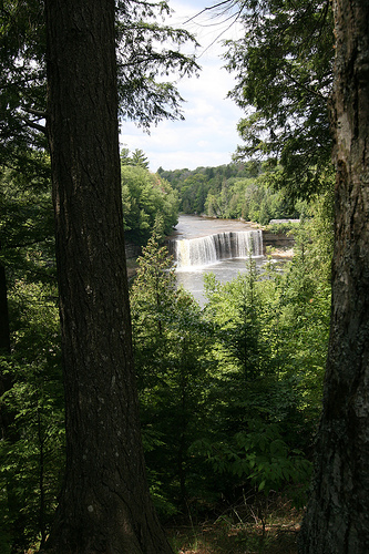 Tahquamenon Falls, a view through the forest
