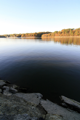 Barren River Lake