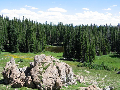 Hidden pond, Medicine Bow National Forest