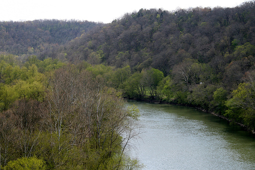 The Kentucky River