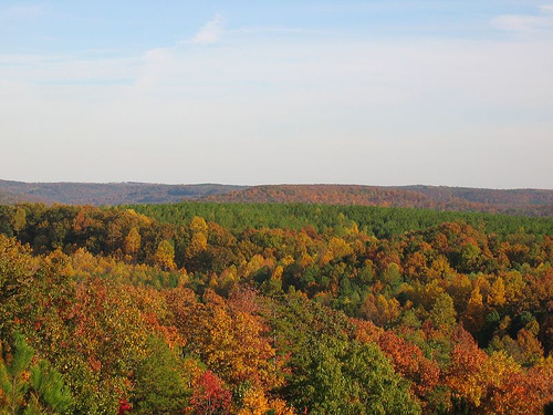 natchez trace tishomingo MS