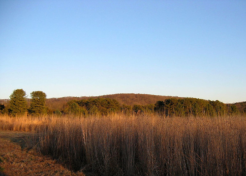 Bernheim Forest and Arboretum