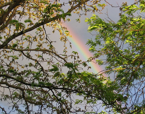 Rainbow against darkened sky