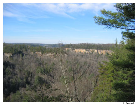 red river gorge