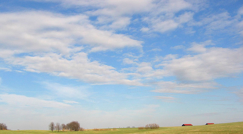 bluegrass kentucky KY talon vinyards