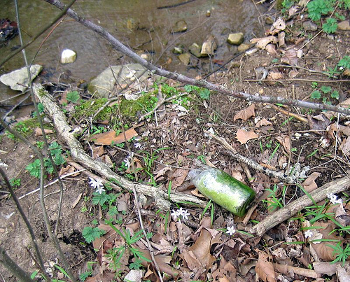 bottle by a stream